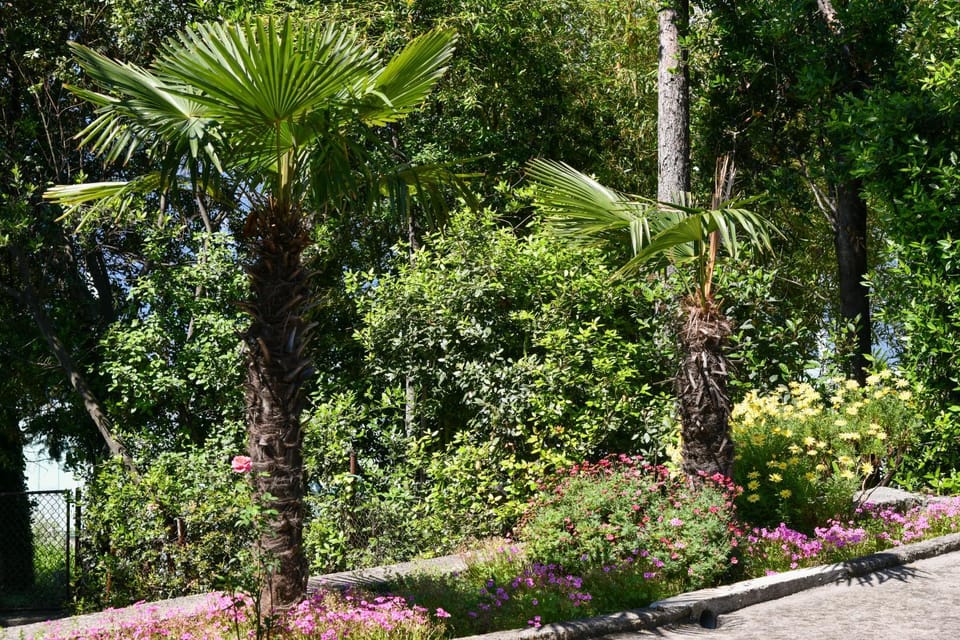 Day, Garden, Garden view