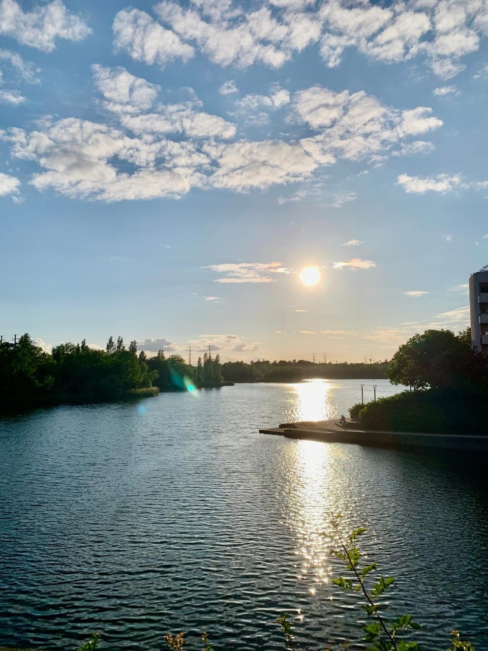Lake view