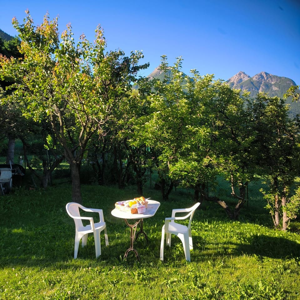 Natural landscape, Garden, Garden view, Mountain view