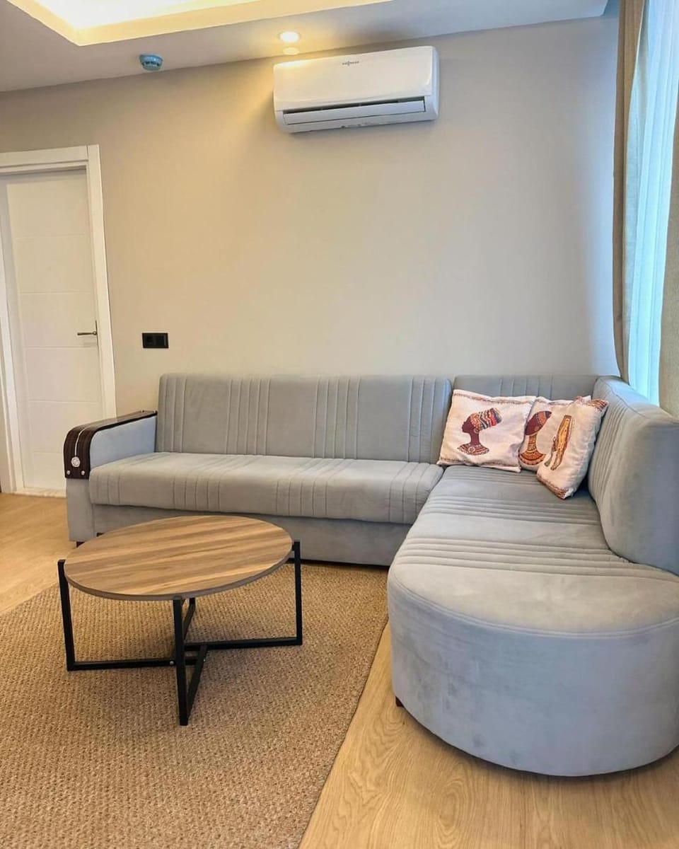 Living room, Seating area, air conditioner