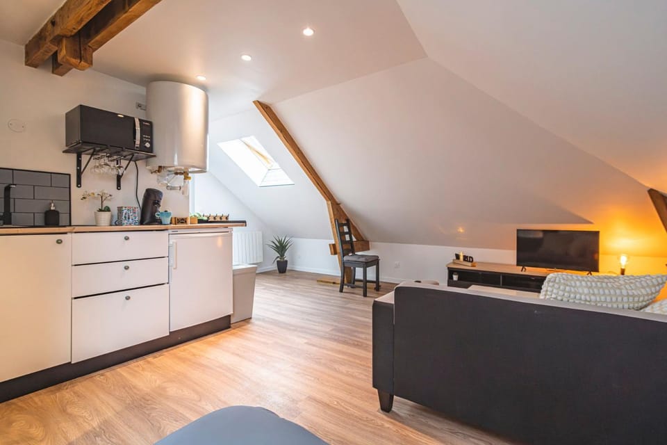 Le cocon, studio pour 2 personnes Apartment in Grand Est