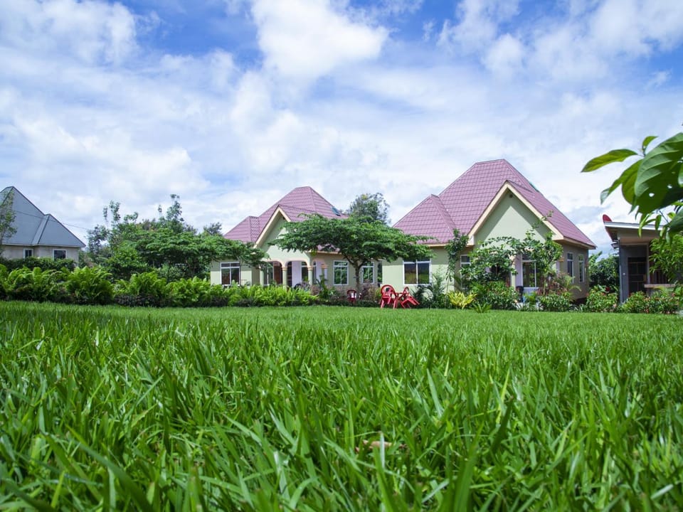 Property building, Garden, Garden view