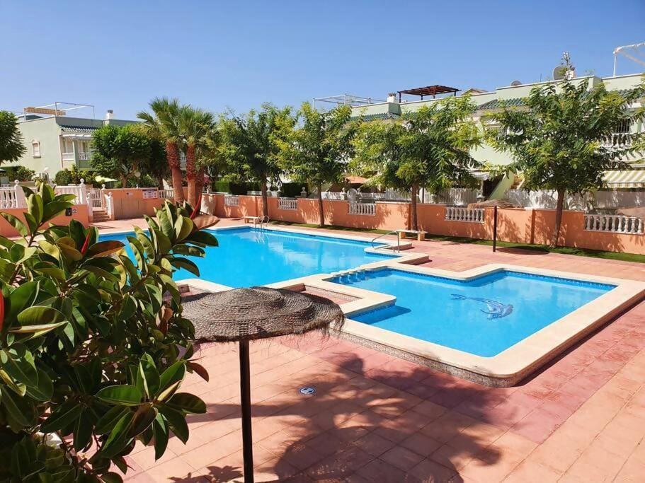 Day, Pool view, Swimming pool