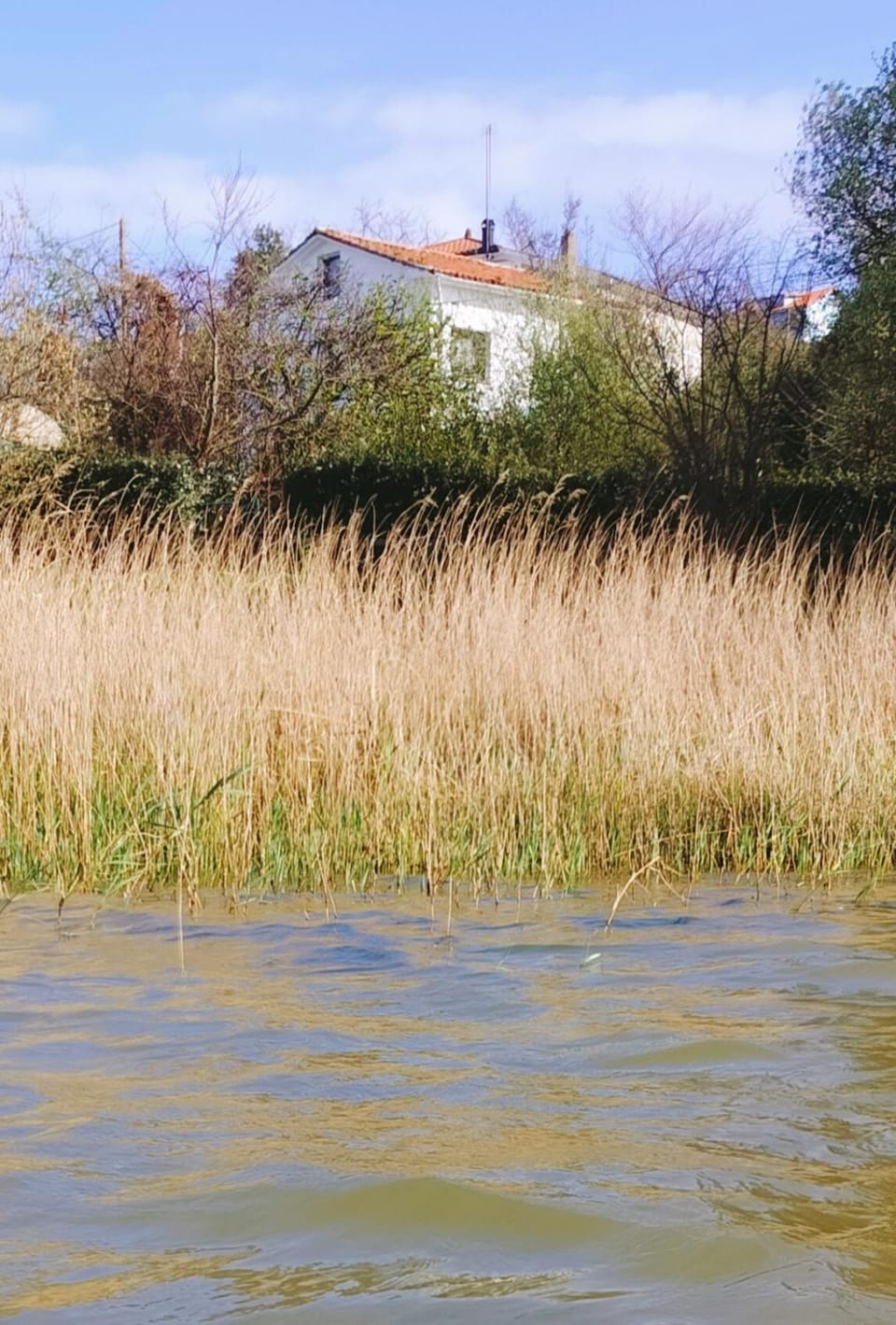 Natural landscape