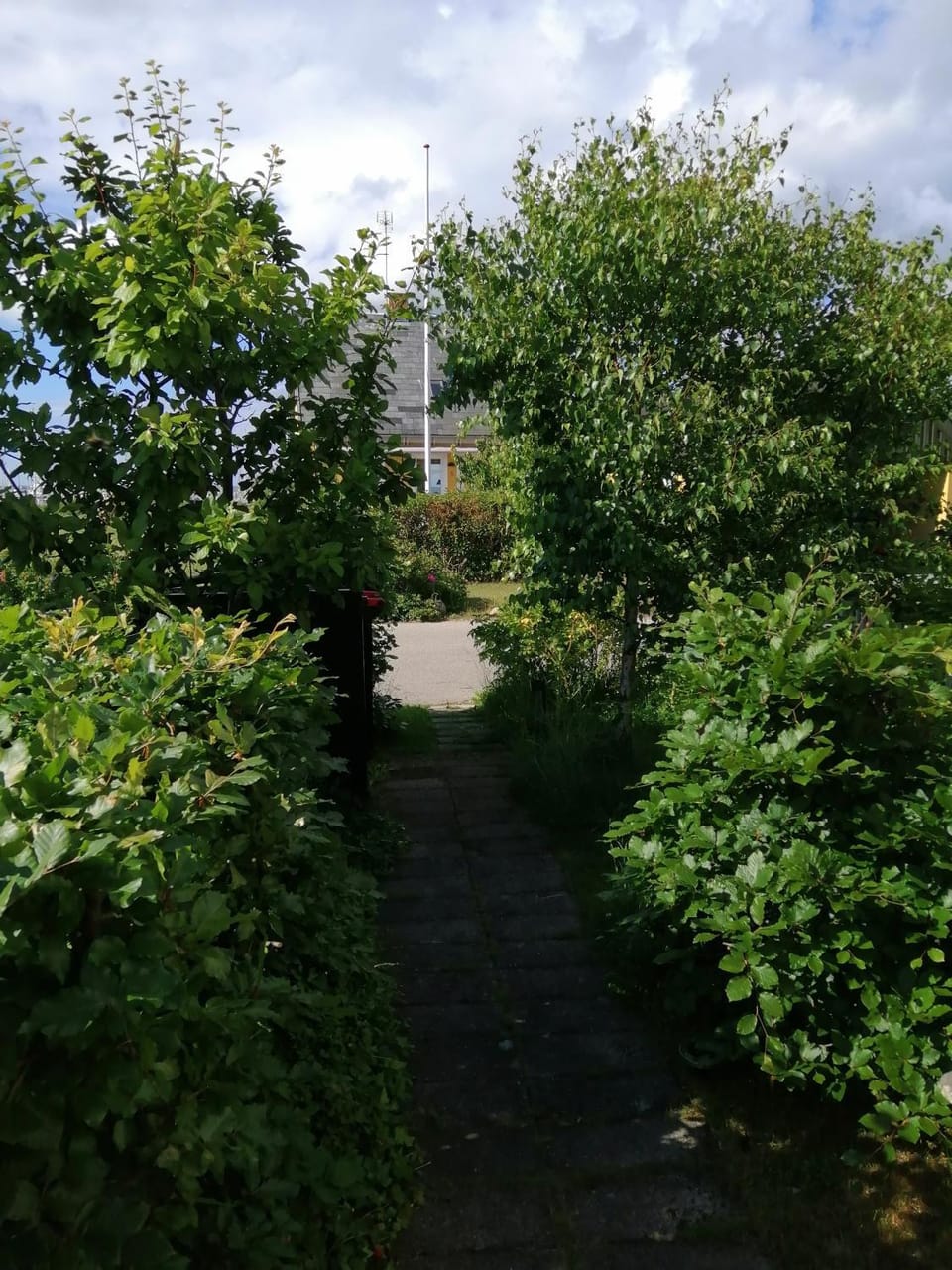 Natural landscape, Garden view