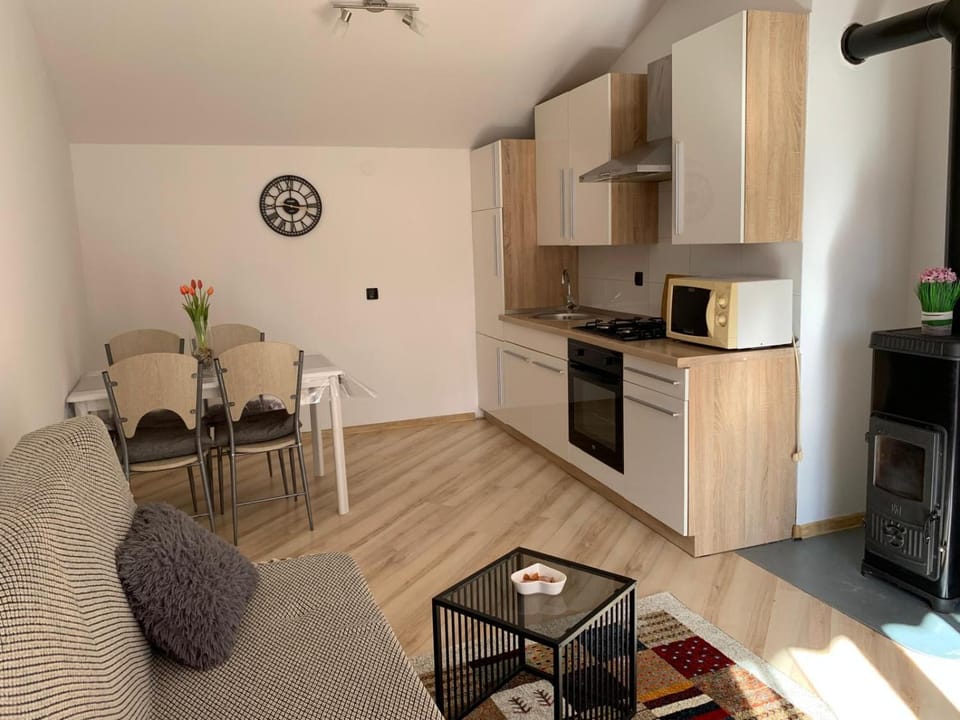 Kitchen or kitchenette, fireplace, oven, stove