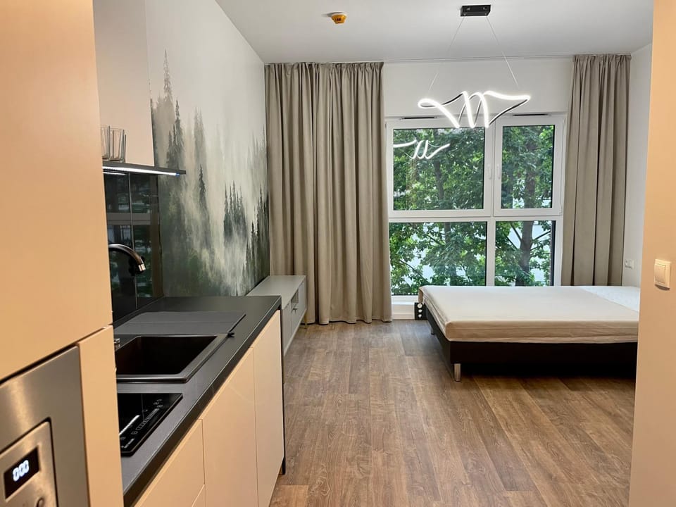 Bed, TV and multimedia, Kitchen or kitchenette, Photo of the whole room, Bedroom, oven