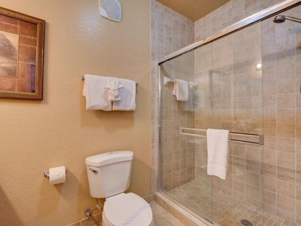 Shower, Toilet, Bathroom, towels