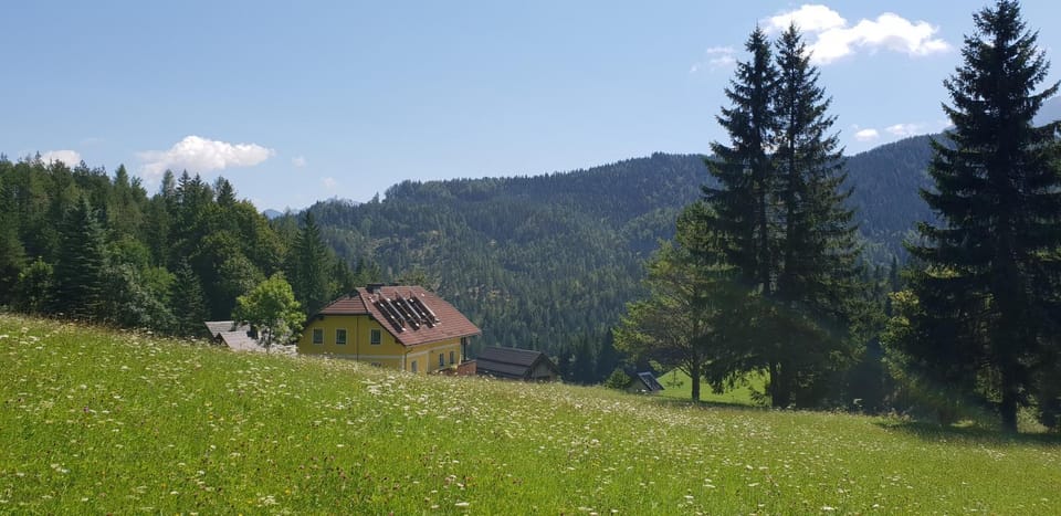 Natural landscape