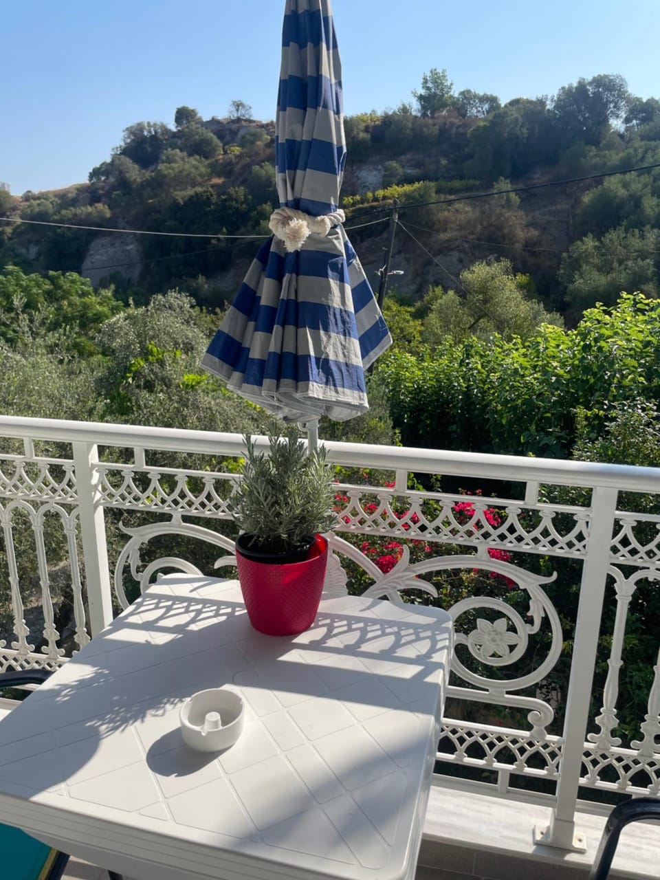 Aktipis Studios 1 Apartment in Zakynthos, Greece