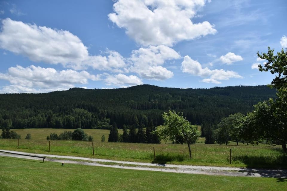 Natural landscape, View (from property/room), View (from property/room)