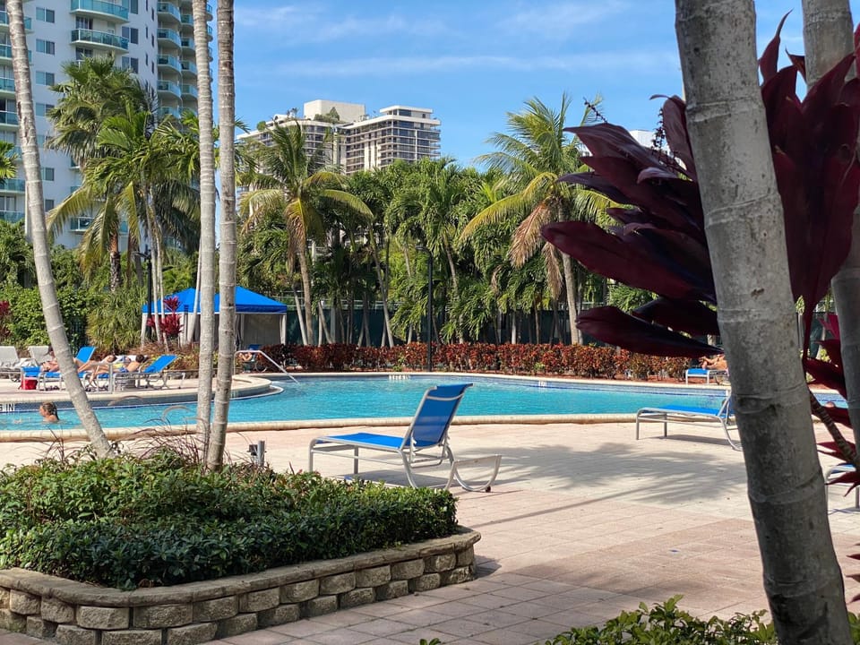 Stunning apt! Oceanview! Parking included Apartment in Sunny Isles Beach
