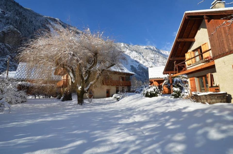 Winter