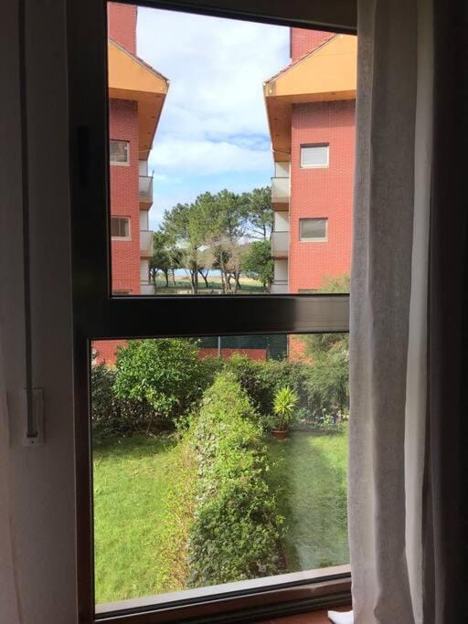 Garden view