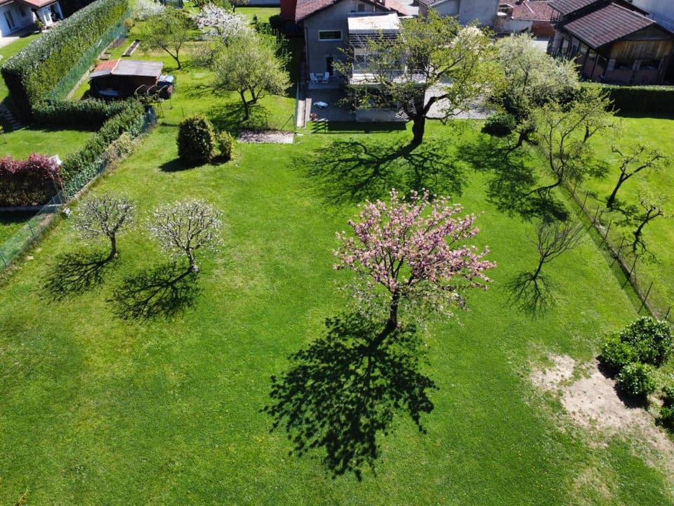 Bird's eye view, Garden, Garden view