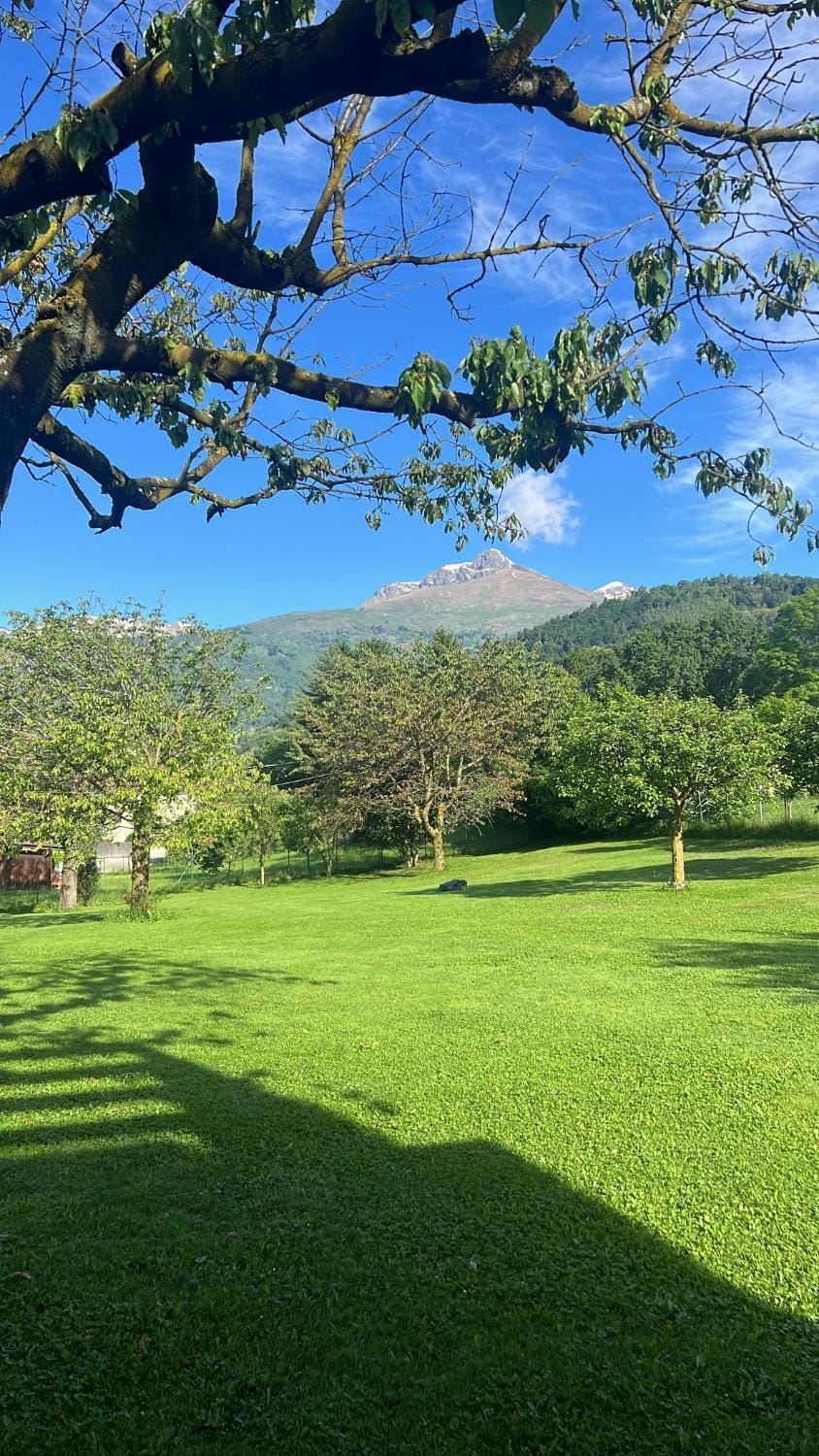 Garden, Garden view