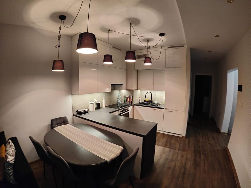 Kitchen or kitchenette, Dining area, stove