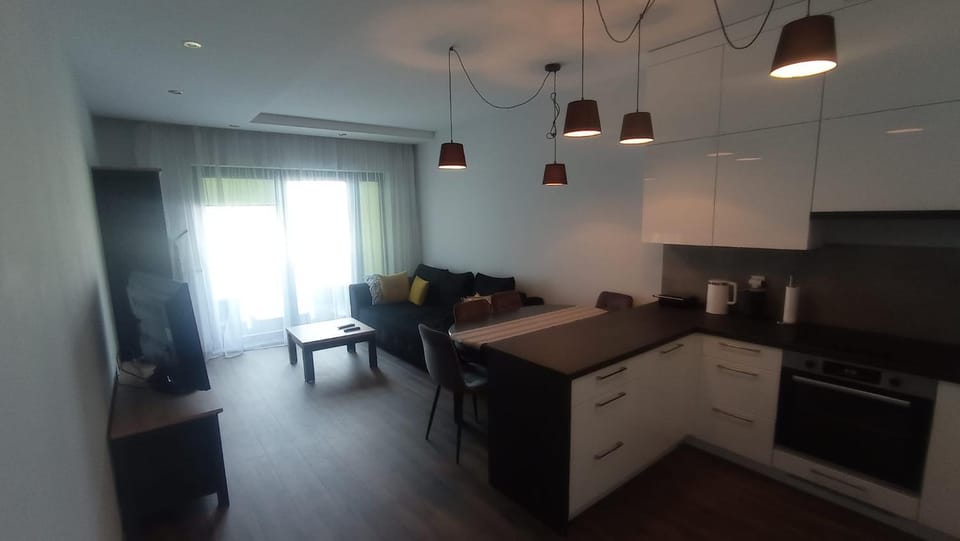 Kitchen or kitchenette, Living room, stove