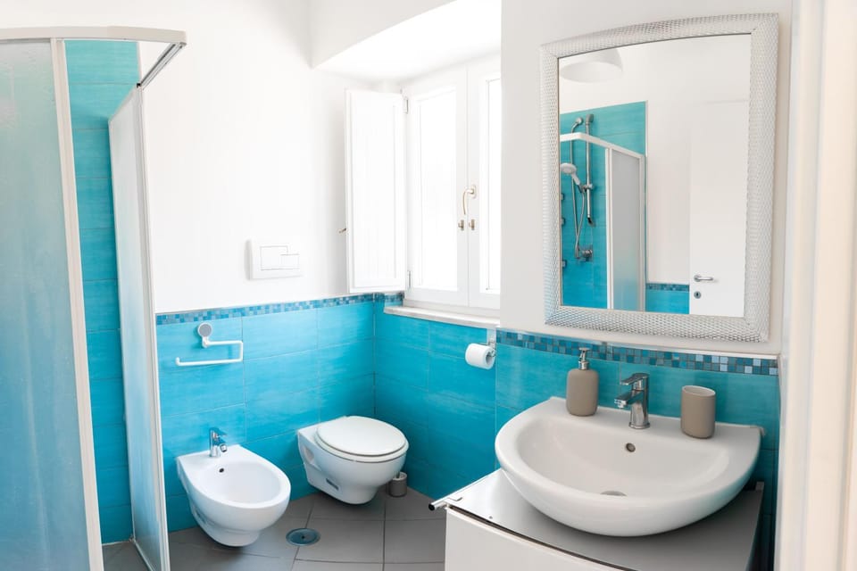 Shower, Toilet, Bathroom, bidet