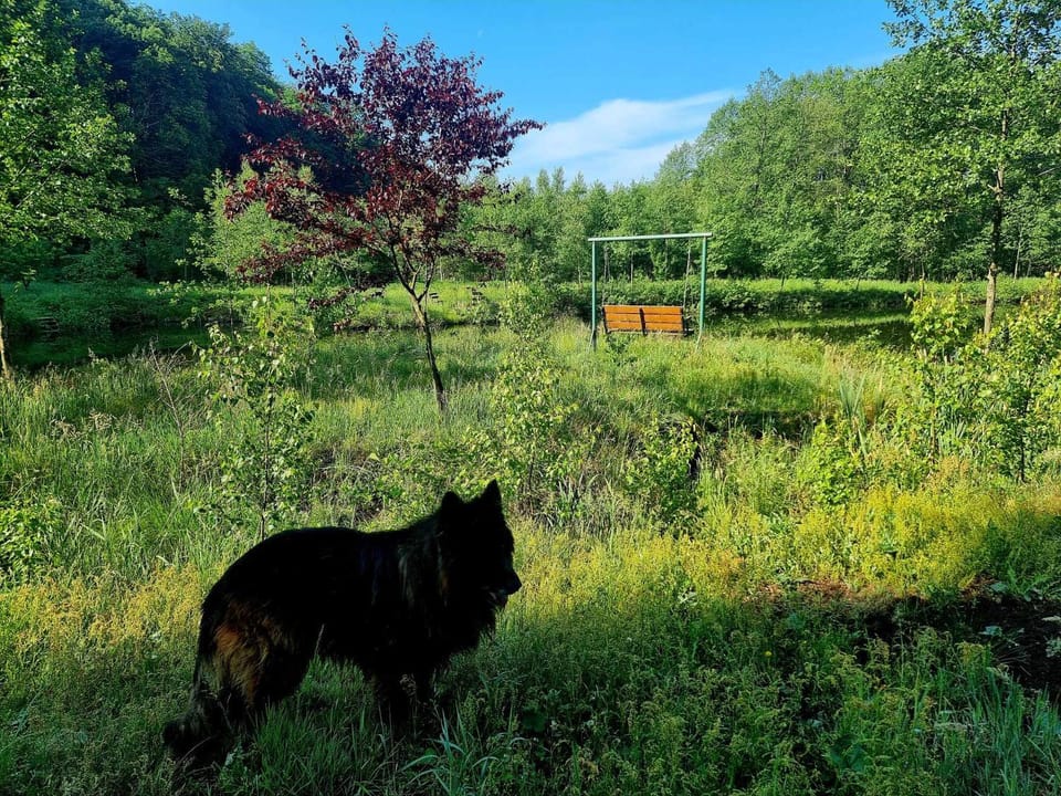 Domek de Janauis i jeziorko Campground/ 
RV Resort in Pomeranian Voivodeship