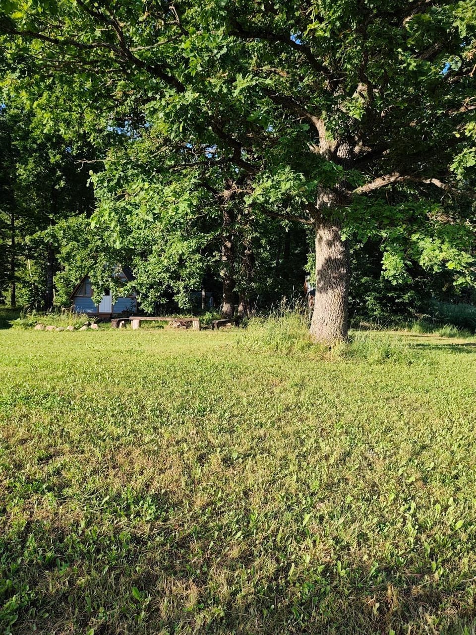 Day, Natural landscape, Parking