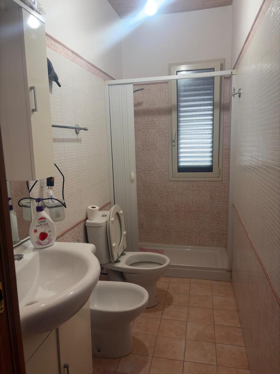 Shower, Bathroom, bidet, hair dryier