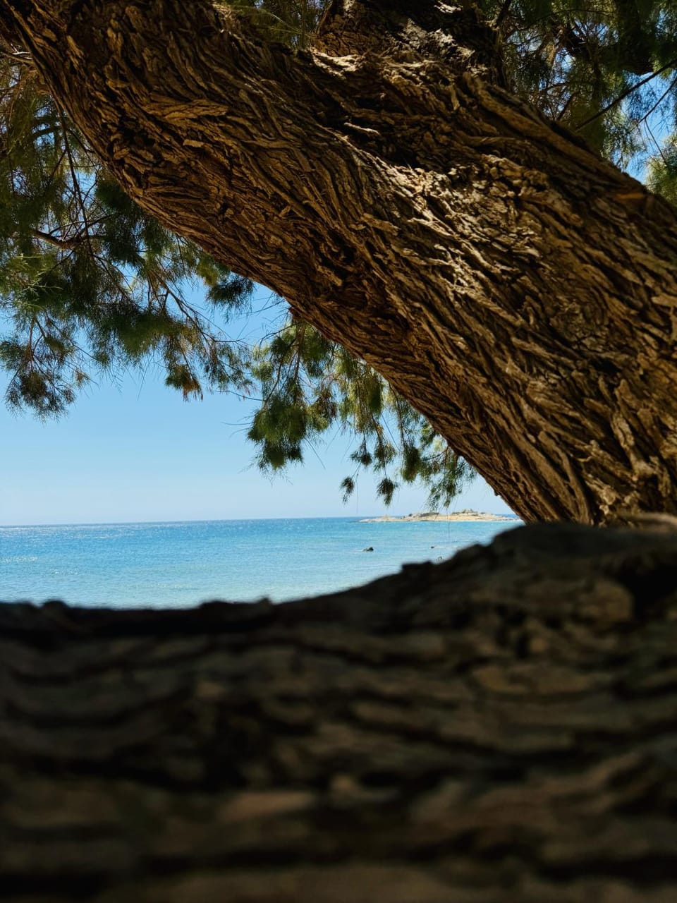 Day, Natural landscape, View (from property/room), Beach, Sea view