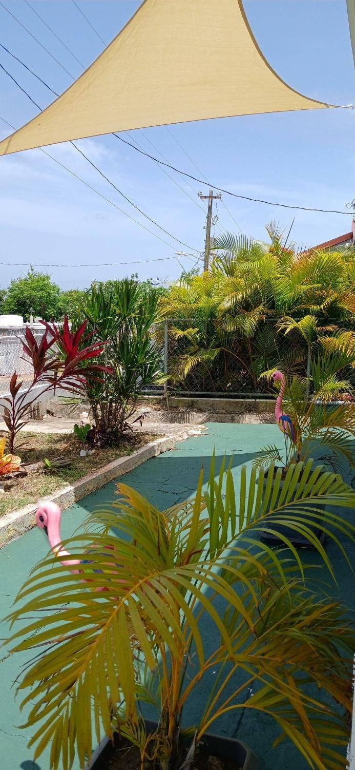 Garden, Garden view