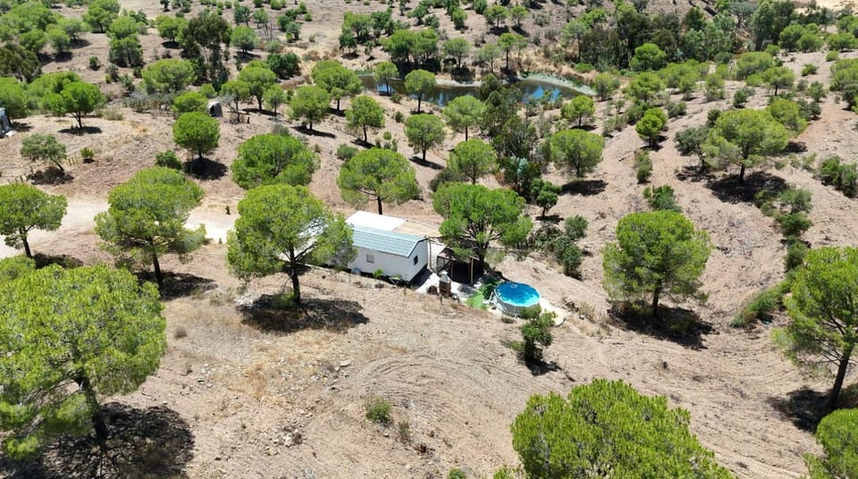 Into the wild Luxury tent in Faro District