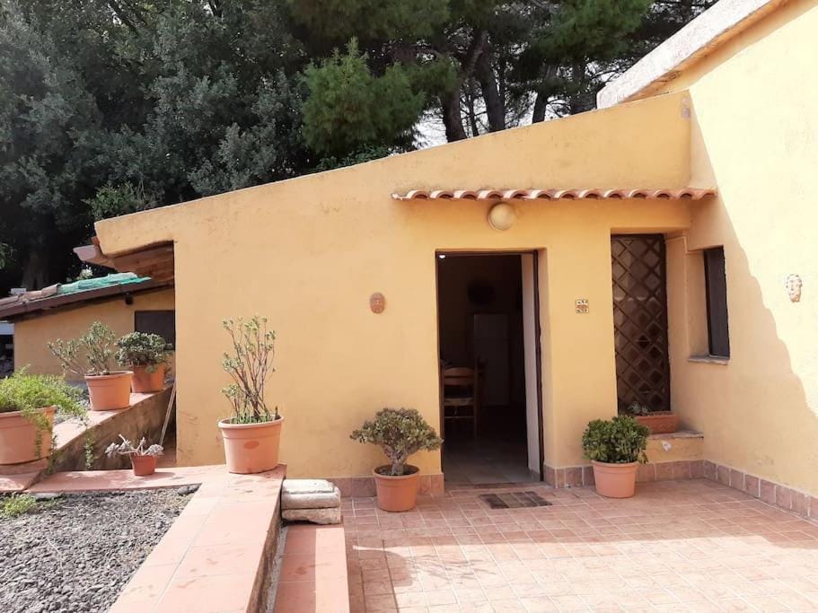 CASA PRAIOLA Tangerine's House by the SEA House in Sicily