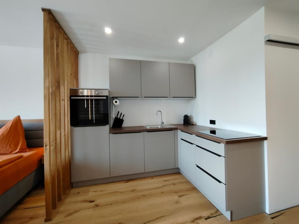 Kitchen or kitchenette, dishwasher, oven, stove