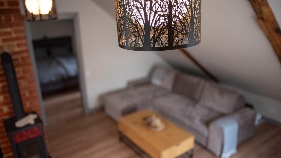 Mansard Apartment in Saddler's House Apartment in Latvia