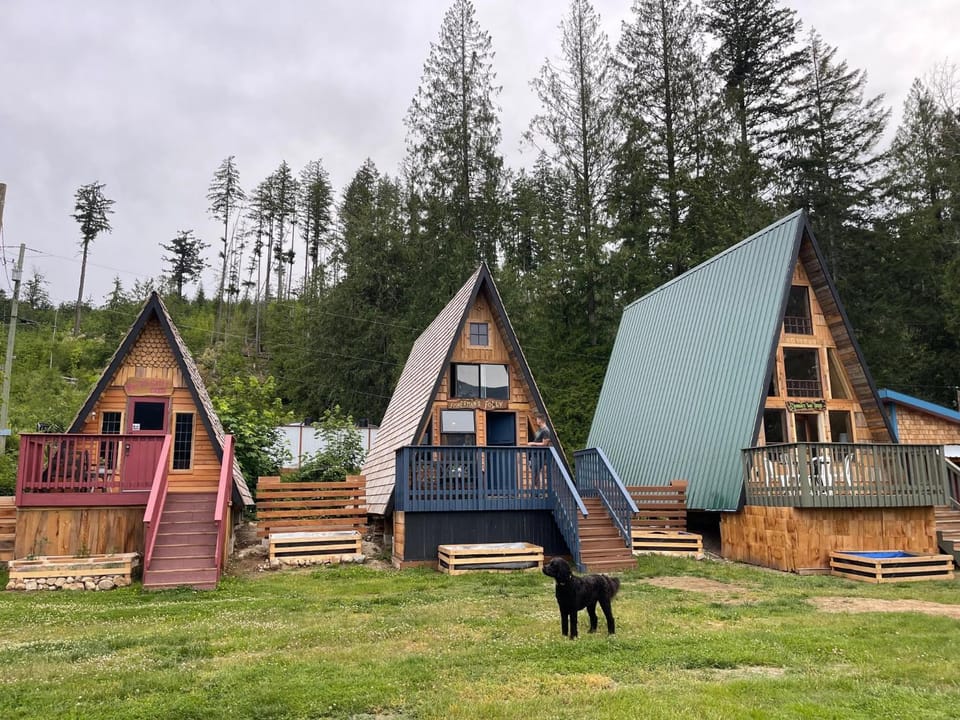 Property building, Day, Natural landscape, Garden, Pets, Garden view