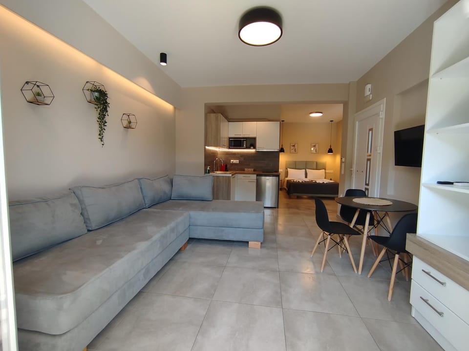 SeaEsta Vasiliki 1 Apartment in Vasiliki