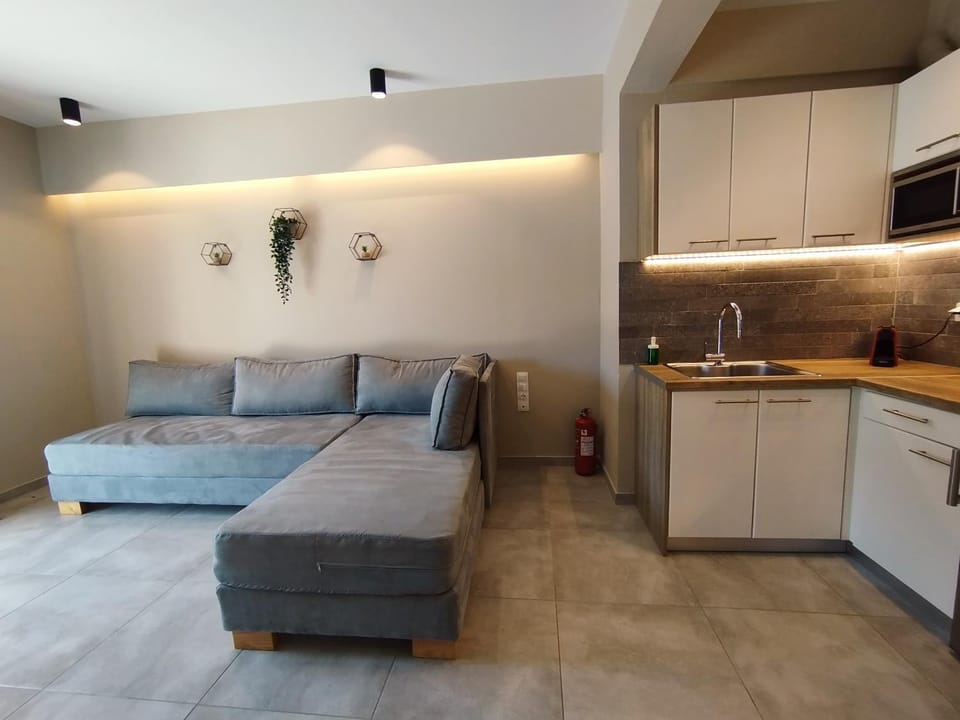 SeaEsta Vasiliki 1 Apartment in Vasiliki