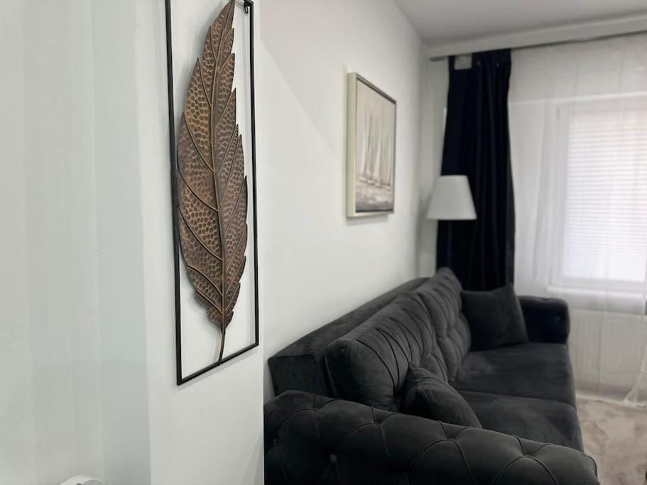 Zentrale, stilvolle Wohnung Apartment in Lubeck