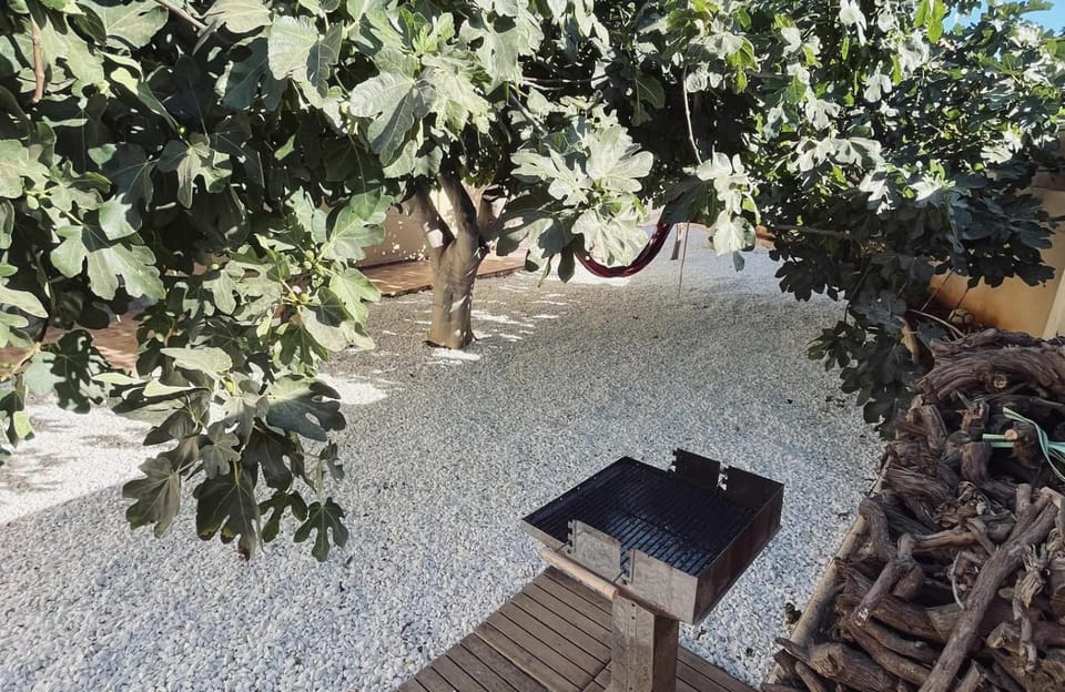 BBQ facilities, Garden, Garden view