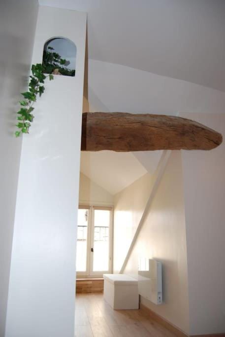 L'Escapade, spacieux duplex Apartment in Auvergne-Rhône-Alpes