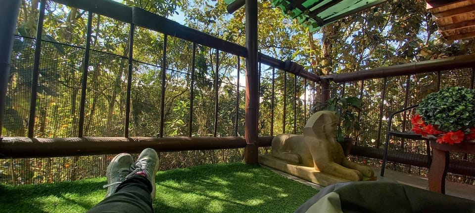 Patio, Day, Balcony/Terrace