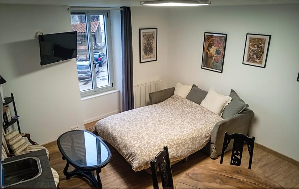 Duplex vue sur château Apartment in Pays de la Loire
