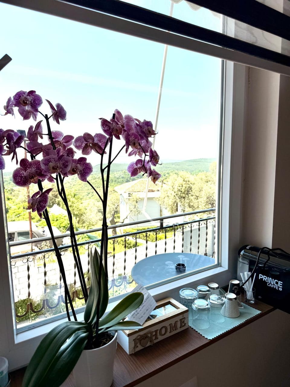 Elona's Rooms Bed and Breakfast in Tirana County, Albania