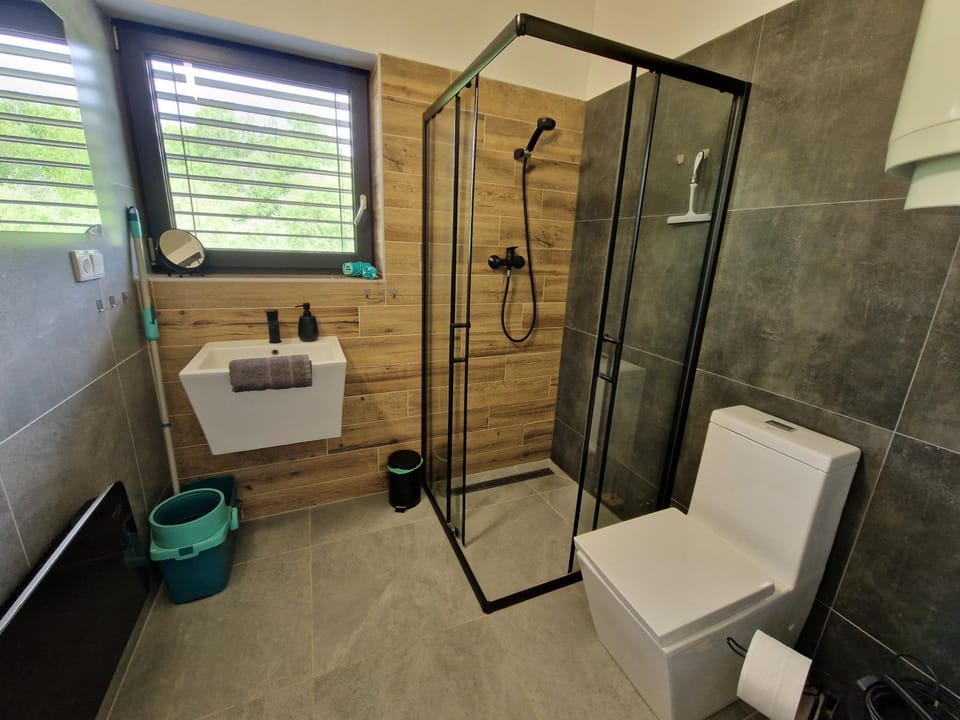 Shower, Toilet, Bathroom, towels
