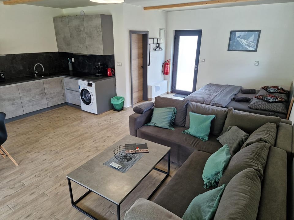 Photo of the whole room, pet friendly
