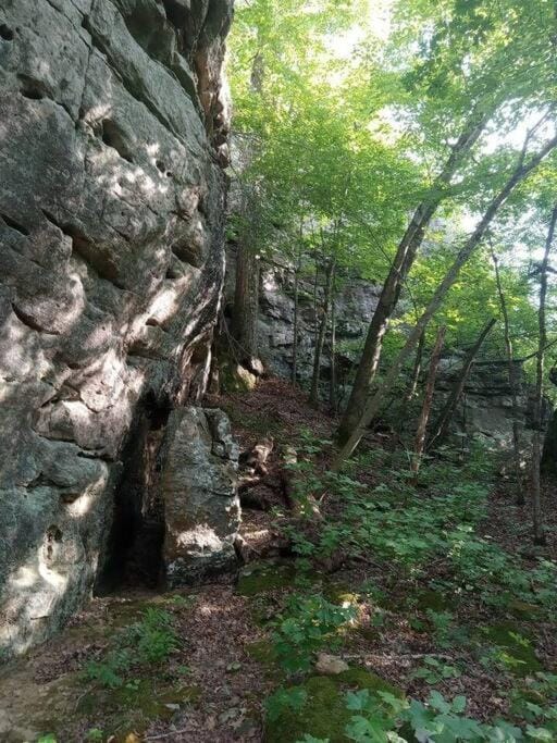 Baca Cabin Near Compton, Ponca, Buffalo River, Trails Cabin in Buffalo River