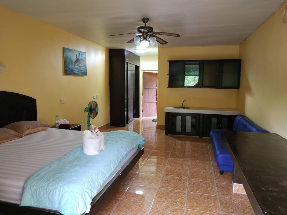 Bed, Photo of the whole room, Bedroom, fireplace