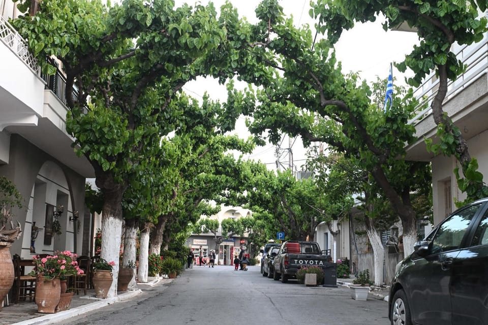 Neighbourhood, Street view, Location