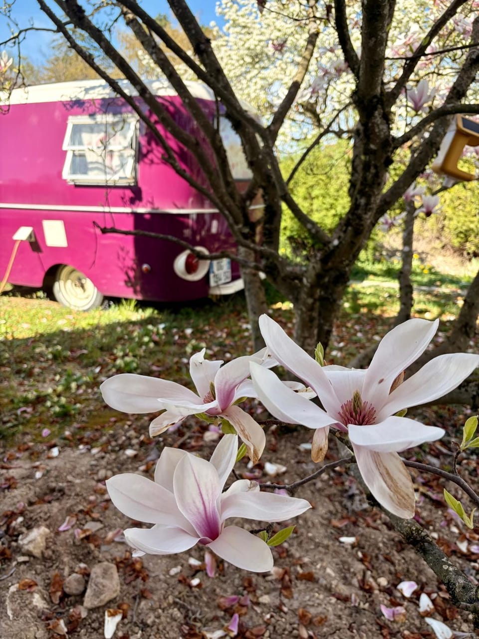 Salève Glamping Luxury tent in Canton of Geneva