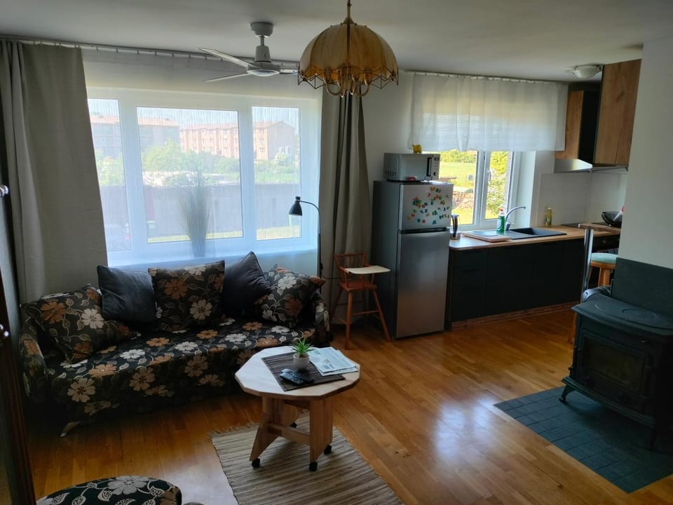 Kitchen or kitchenette, Living room, Seating area, Dining area, stove