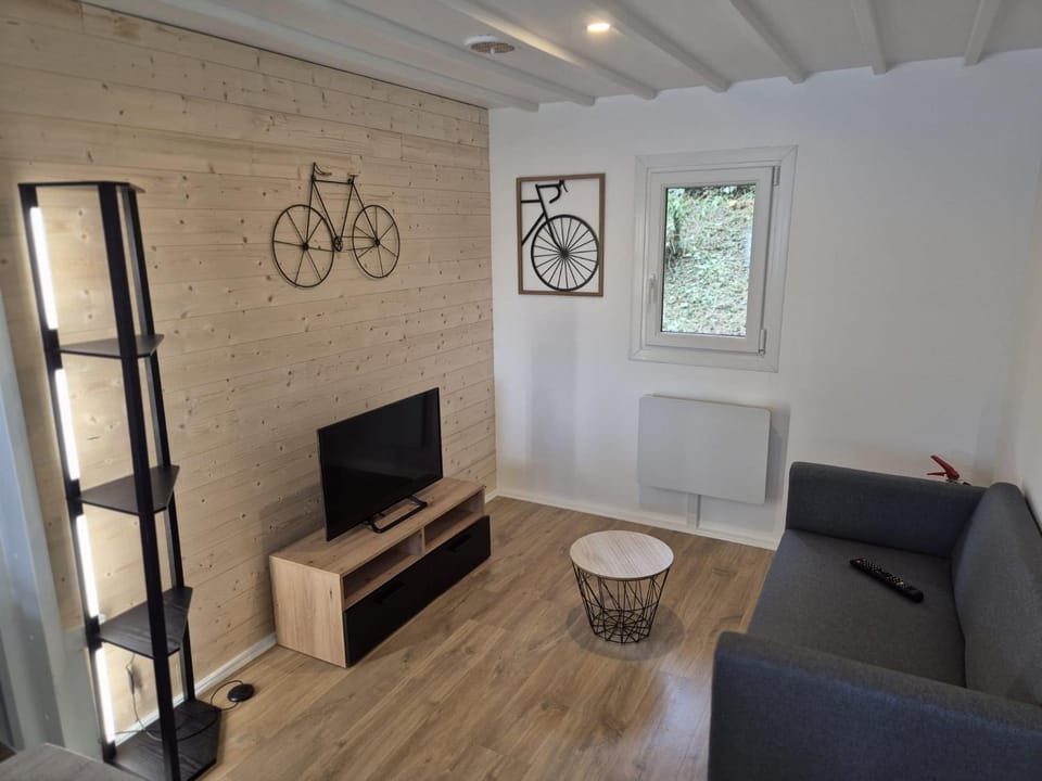 Communal lounge/ TV room, Living room