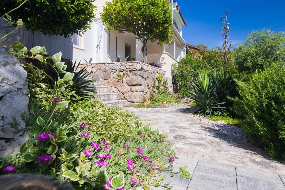 Property building, Day, Garden